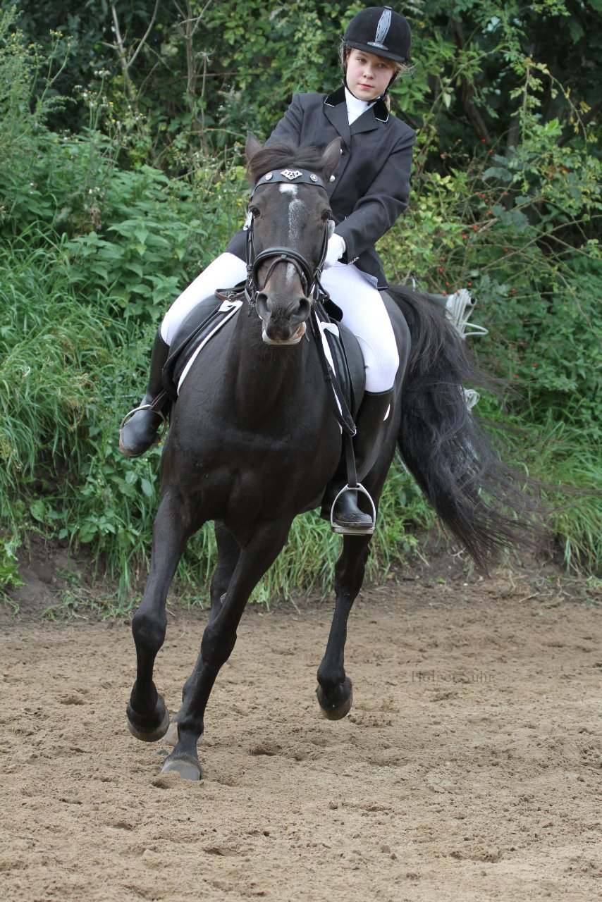 Bild 885 - WBO-Turnier am 18.9.11